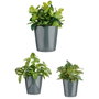 IBERGARDEN Set de 3 maceteros en céramique coniques, Anthracite