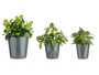 Ibergarden Set 3 Macetas Ceramica Conica 14 cm 17 cm 22 cm Antracita