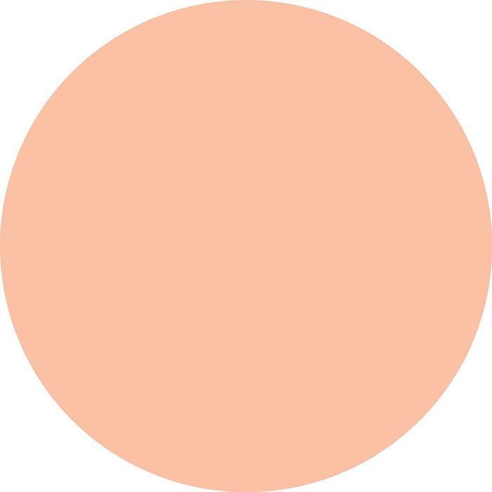 Catrice Soft Blur Airbrush poudre matifiante teint 020N 10 g, contrôle de la brillance 12h, floute les pores Catrice Soft Blur Airbrush poudre matifiante teint 020N 10 g, contrôle de la brillance 12h, floute les pores