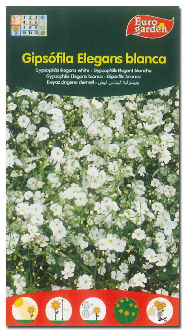 Semilles Fito Flores Gypsophila elegans blanche (Boîte de 10) Semilles Fito Flores Gypsophila elegans blanche (Boîte de 10)