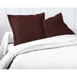 Lovely Home LH71588 - Lot de 2 taies d'oreiller 63x63 cm - 100% coton - Marron chocolat