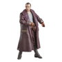 Hasbro Star Wars The Vintage Collection - Jod Na Nawood (Skeleton Crew)