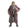Hasbro Star Wars The Vintage Collection - Jod Na Nawood (Skeleton Crew)