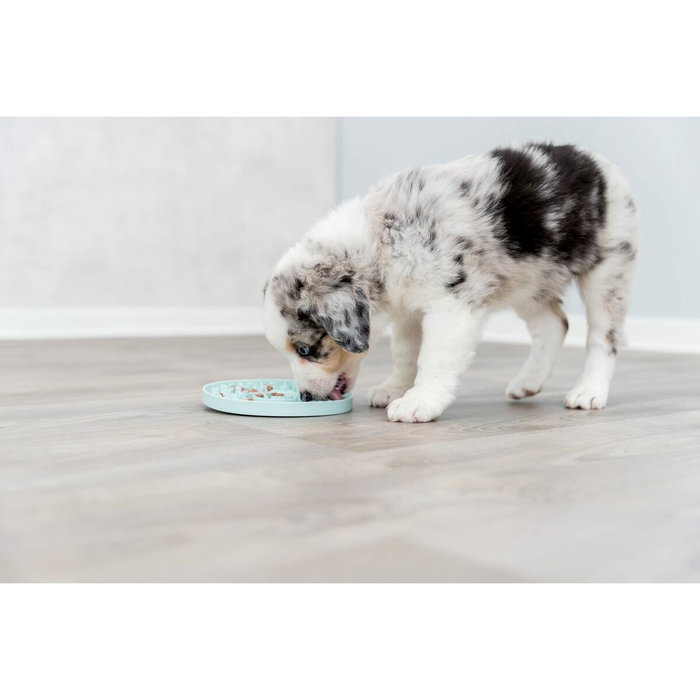 Mangeoir pour animaux Trixie Junior Licking Ø 15 cm Vert Menthe