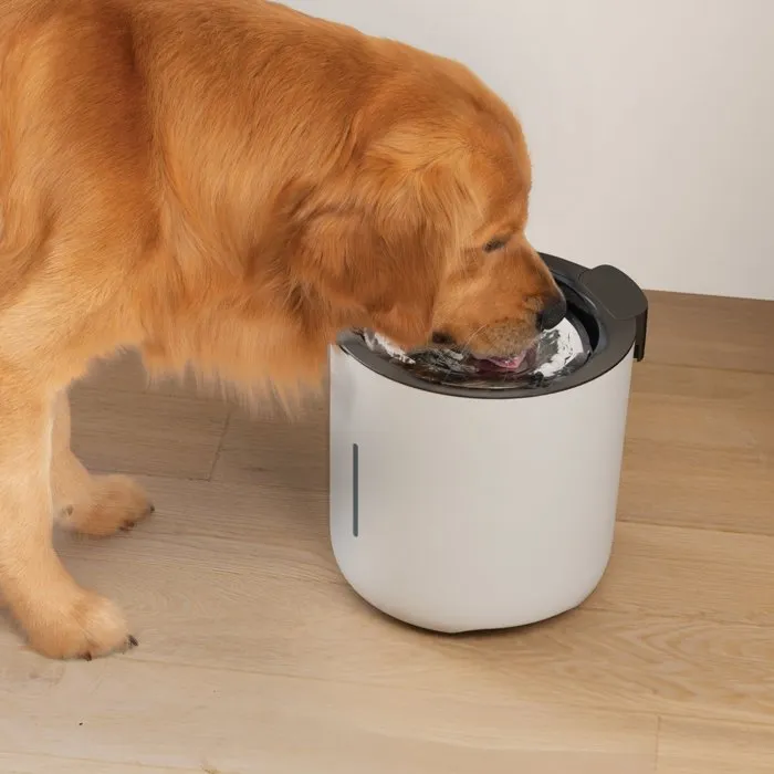 Zeus Oasis Fontaine à eau pour chiens, 6 L