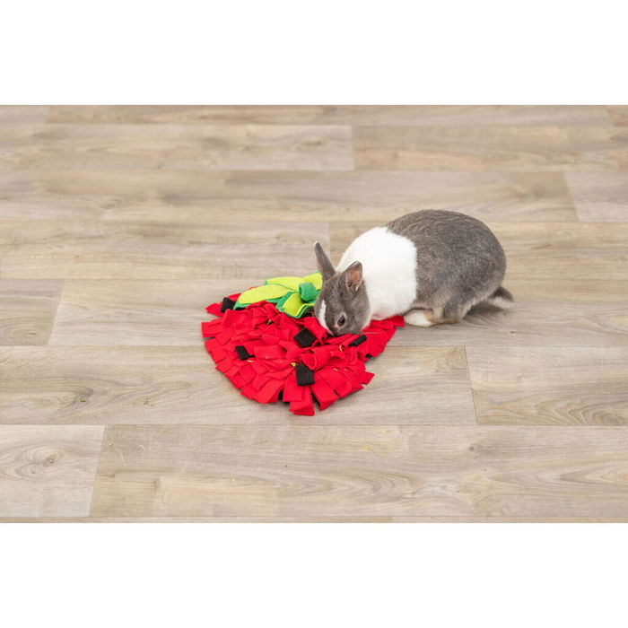 Tapis Olfactif pour Animaux de Compagnie Trixie