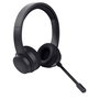 Casque Trust 25463