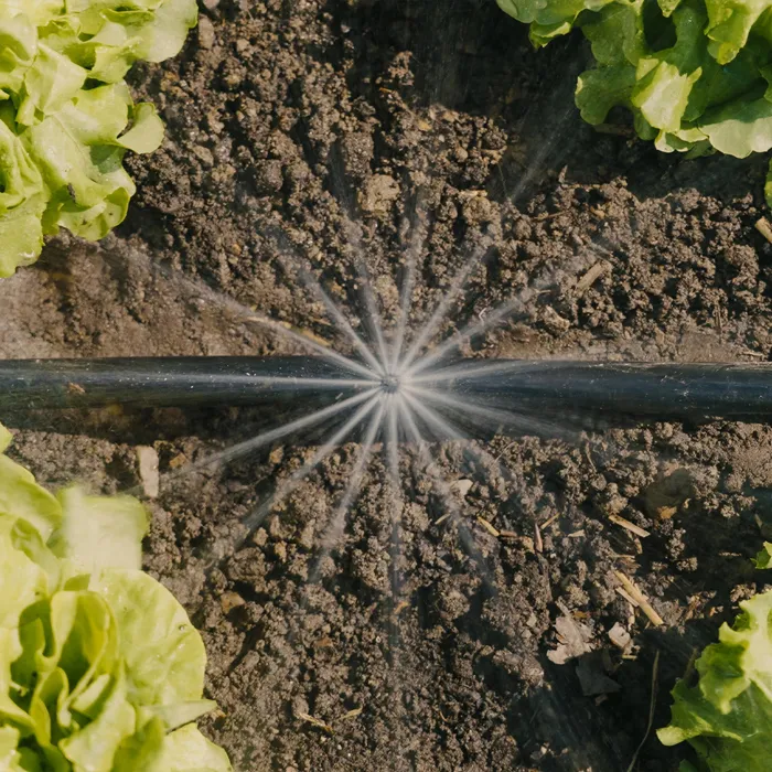 Gardena Kit d'Initiation d'Arrosage pour Potager 13450-20 - Jusqu'à 60 m² avec Tuyaux Goutteurs Gardena Kit d'Initiation d'Arrosage pour Potager 13450-20 - Jusqu'à 60 m² avec Tuyaux Goutteurs