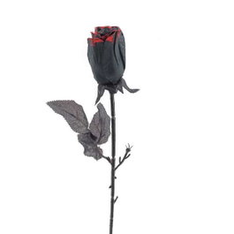 My Other Me - Rosa Décorative en Polyester Noir - 46 x 4 x 4 cm