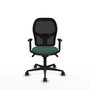 Piqueras y Crespo Chaise de Bureau Jorquera Vert Bouteille et Noir
