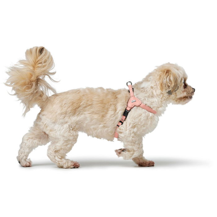 Harnais pour Chien Hunter SOHO MINI Rose