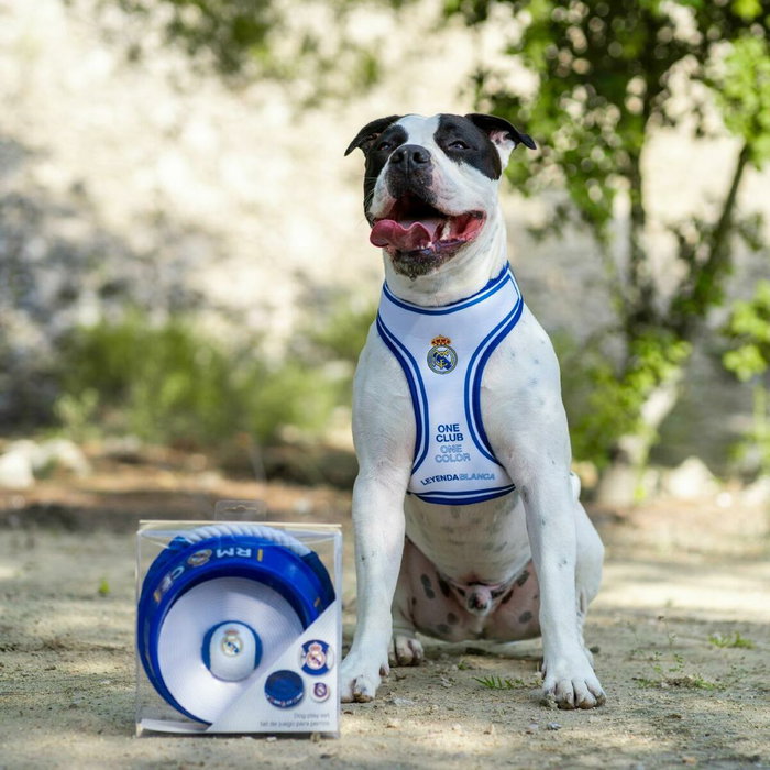 Coffret de bienvenue pour chiens Real Madrid C.F. Bleu 21,0 x 21,0 x 8,8 cm 3 Pièces