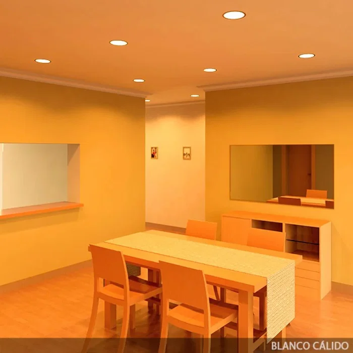 Plaque LED 12W 1200Lm 2700K Circular Blanc 50.000H [GL-CL-R12N-G-WW]