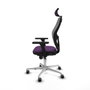 Piqueras y Crespo 3D086G2 Violet