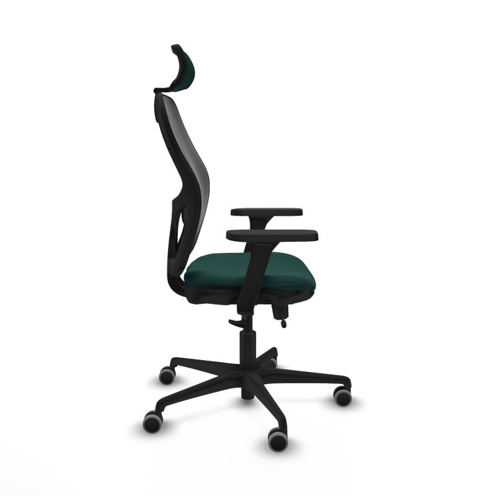 Piqueras Y Crespo Chaise de bureau Jorquera, Sincro/Traslack, Vert bouteille/Noir Piqueras Y Crespo Chaise de bureau Jorquera, Sincro/Traslack, Vert bouteille/Noir
