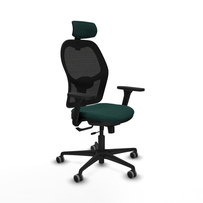 Piqueras Y Crespo Chaise de bureau Jorquera, Sincro/Traslack, Vert bouteille/Noir Piqueras Y Crespo Chaise de bureau Jorquera, Sincro/Traslack, Vert bouteille/Noir