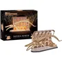 Revell Tiny Adventures - Puzzle 3D en bois Natural Museum - Baleine Bleue avec éclairage LED - 222 pièces - Décoration et loisir créatif