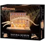 Revell Tiny Adventures - Puzzle 3D en bois Natural Museum - Baleine Bleue avec éclairage LED - 222 pièces - Décoration et loisir créatif