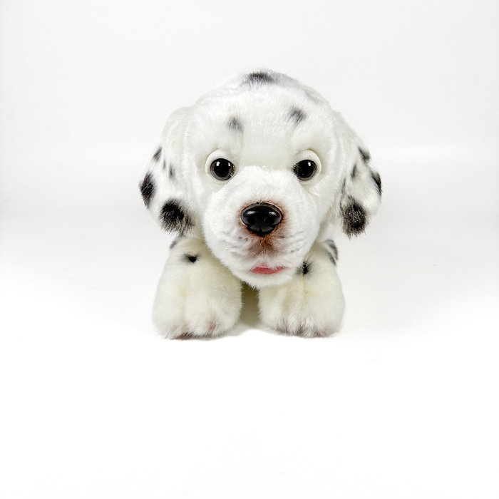 Deqube Peluche Dalmata Tumbado 25 cm Bocalan – Doux et moelleux