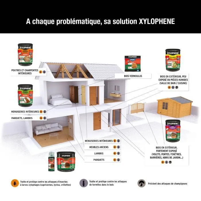 Xylophene - Traitement Insecticide pour Poutres & Charpentes - 5L - Incolore - Préventif et Curatif Anti-Termites