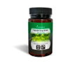 PLAMECA Capsudiet Ginkgo Biloba 40 capsules végétales