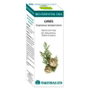 EQUISALUD Bio Essential Oils Huile Essentielle de Cyprès 10ml