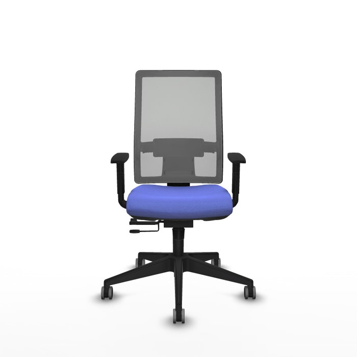 Piqueras y Crespo Chaise de bureau Horna, Assise Bleu clair et Dossier Gris Piqueras y Crespo Chaise de bureau Horna, Assise Bleu clair et Dossier Gris