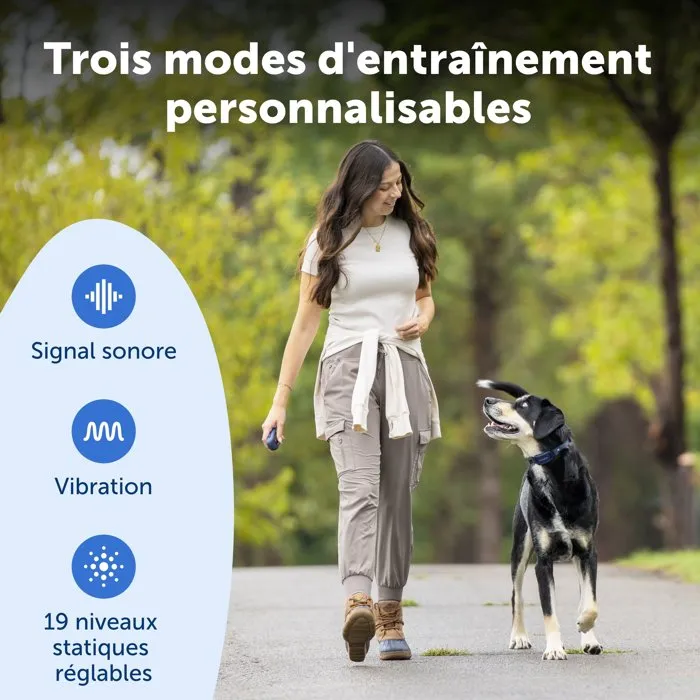 Petsafe Système d'éducation Pro dressage chien portée 300 m