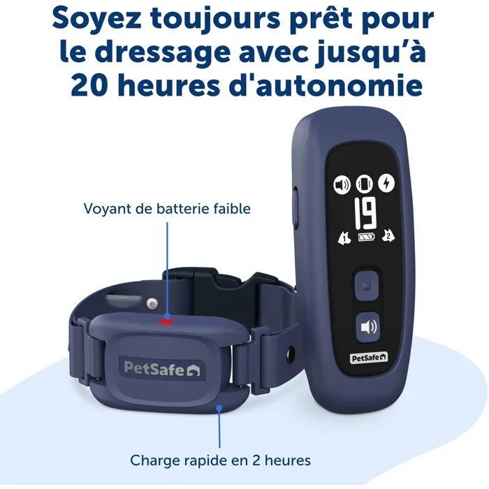 Petsafe Système d'éducation Pro dressage chien portée 300 m