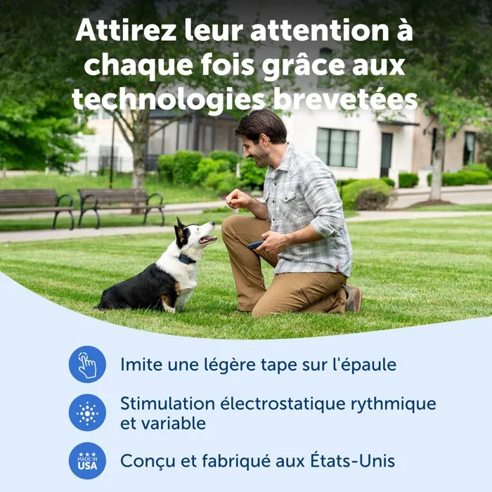 Petsafe Système d'éducation Pro dressage chien portée 300 m