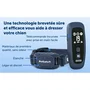 Petsafe Système d'éducation Pro dressage chien portée 300 m
