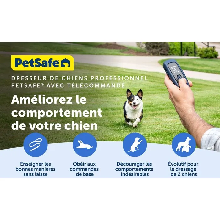 Petsafe Système d'éducation Pro dressage chien portée 300 m