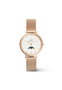 Daniel Wellington DW00100773 Rose