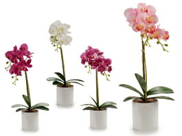 IBERGARDEN Orchidée artificielle en pot rond blanc 51cm