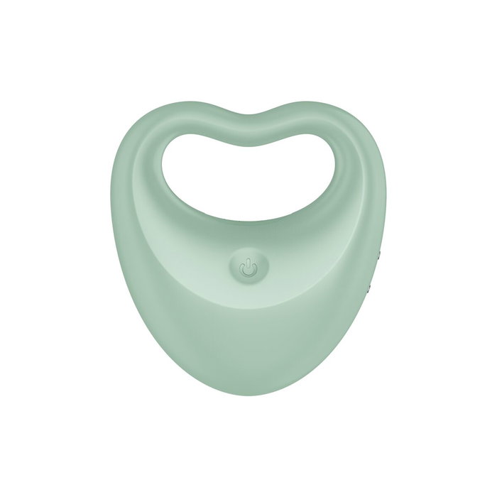 Satisfyer Perfect Pair 3 Vert