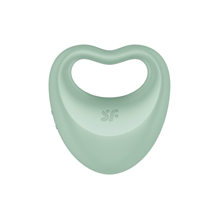 Satisfyer Perfect Pair 3 Vert