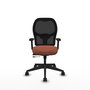 PIQUERAS Y CRESPO Chaise Alocén Synchrone Marron/Noir