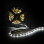 Bande de 300 LED SMD3528 12VDC 24W 1200Lm 6000K Blanc Froid x5M