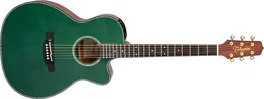 TAKAMINE LTD2025 Antique Evergreen