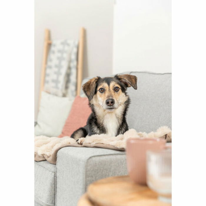 Couverture pour animaux de compagnie Trixie Elli Sable Polyester 100 × 70 CM
