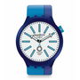 Montre Homme Swatch (Ø 41 mm)