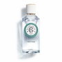 Roger & Gallet VÉTYVER Eau de Parfum 100 ml