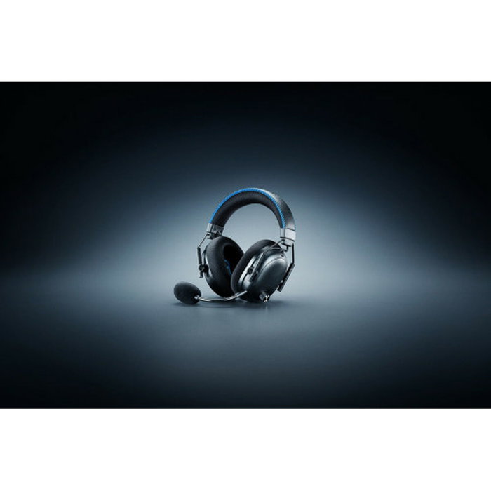 Casque Razer RZ04-05400500-R3G1 Noir