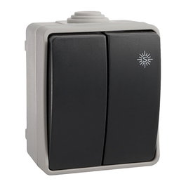 Solera Double interrupteur étanche IP54 10A 250V 65x80x55mm gris/noir - Conmutateur