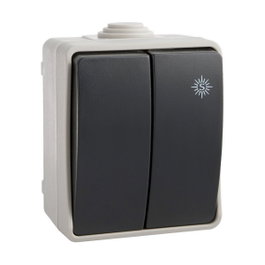 Solera Double commutateur étanche IP54 10 A 250 V~