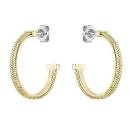 Boss Boucles d'oreilles en acier inoxydable dorées