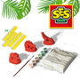 SES Creative Kit de Moulage et Peinture Dinosaures
