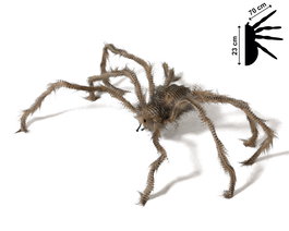 Araignée Décorative Réaliste Gris Marron 70 cm avec Pattes Articulées pour Halloween et Scènes d'Horreur