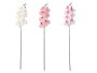 IBERGARDEN RAMA ORQUIDEA 88 CM SURT 3