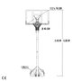 Color Baby - Canastilla de baloncesto portable ajustable en polycarbonate Lifetime avec panneau, hauteur réglable 244-305 cm